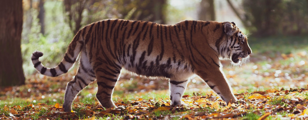 ZOO Hodonín