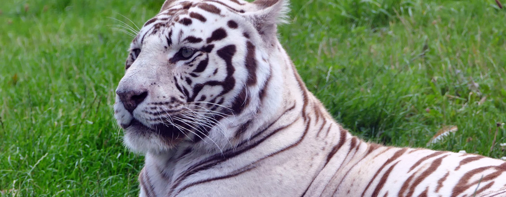 ZOO Liberec
